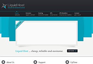 LiquidHost - $3.74 256MB OpenVZ VPS in Seattle
