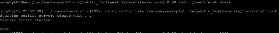 starting seafile server