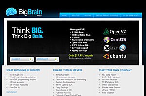 BigBrainHost