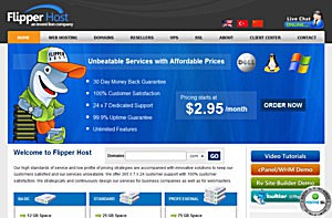 FlipperHost - $3.50 256MB OpenVZ VPS in Dallas