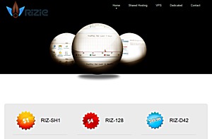 Rizie - $5 512MB OpenVZ VPS