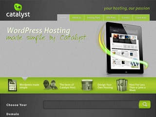 CatalystHost - $4.50/Month 256MB OpenVZ VPS in Dallas and Lenoir