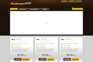 Bandwagon Host 10 Year 512mb Openvz Vps In Arizona Buffalo Images, Photos, Reviews