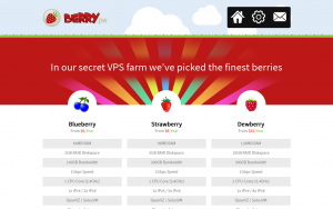 Berry Servers