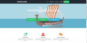 VikingLayer VPS in 3 locations, starting from $21/year!