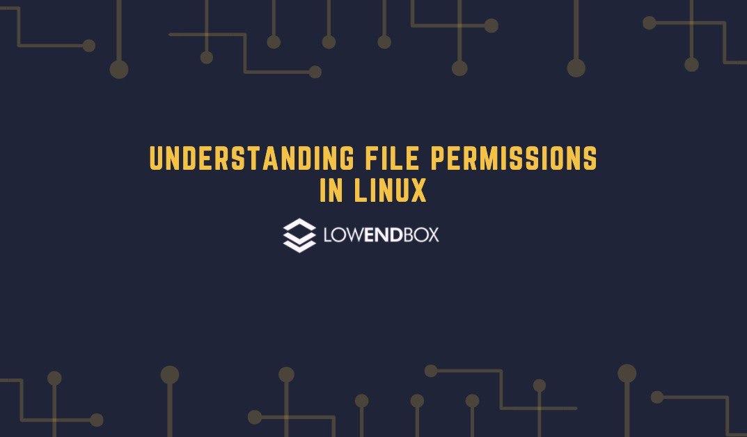 Understanding File Permissions in Linux Guide