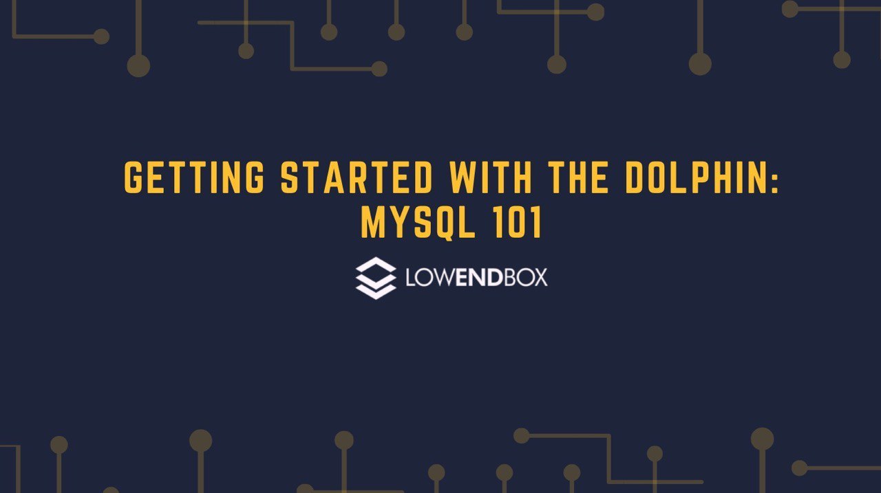 How to Setup MySQL - A Full Setup and How to Guide