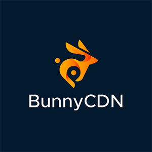 Bunny.net Introduces BunnyDNS!