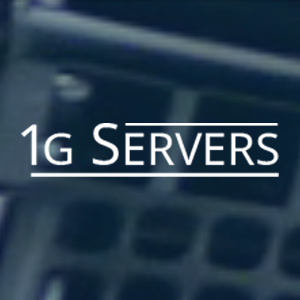 1GServers Logo