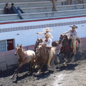 Rodeo image from Mexico