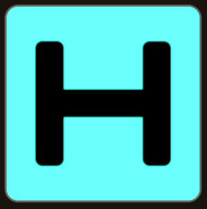 Hetzner H Logo