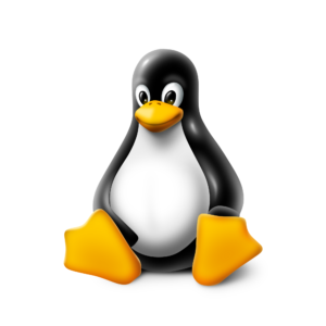 Linux Tux Penguin
