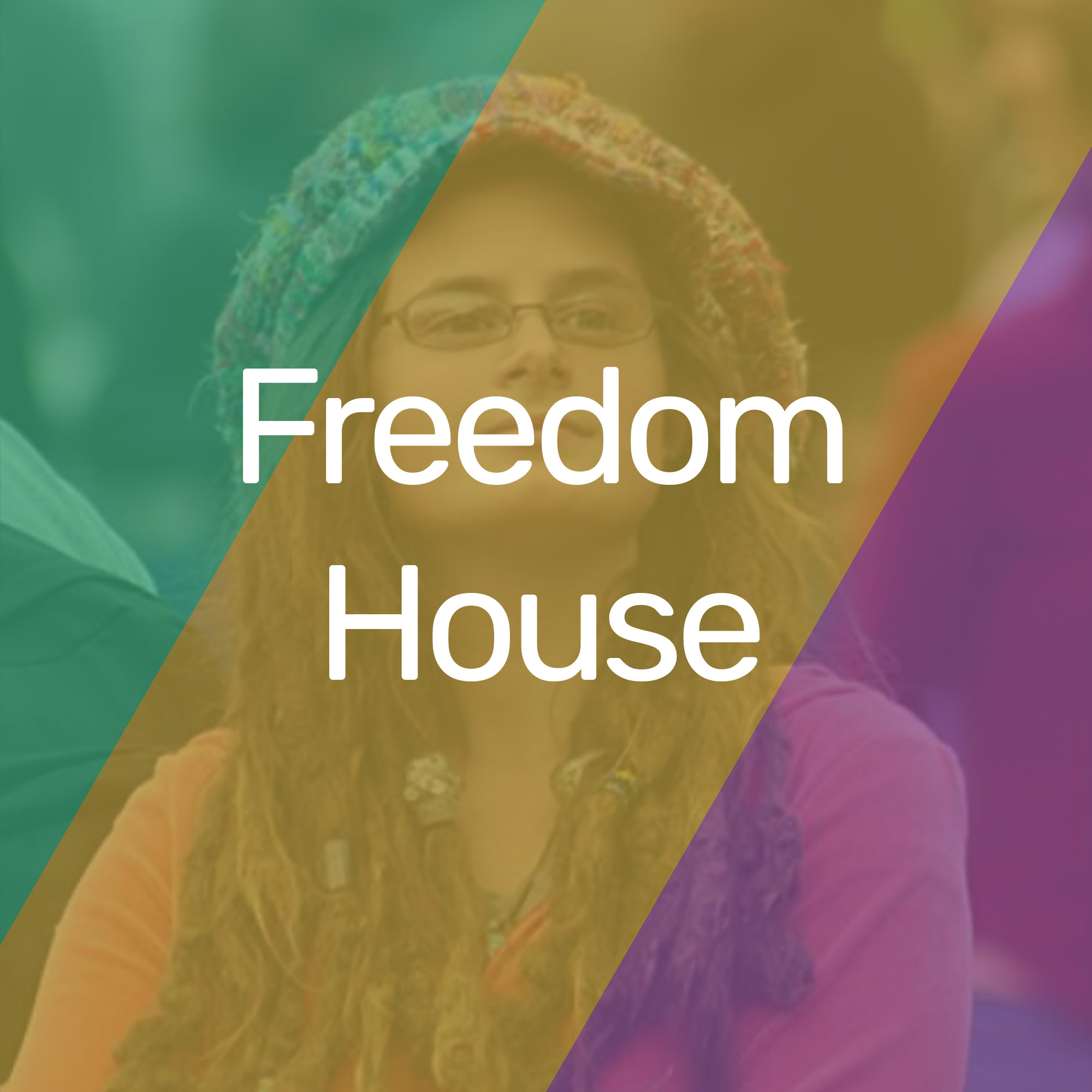 DEEP DIVE The Freedom House 2022 Report LowEndBox   Freedom House 