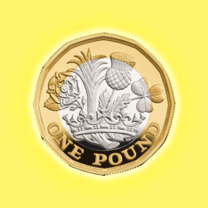 One Pound Coin