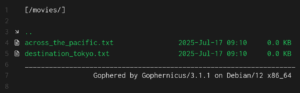 Running a Gopher Server on a VPS: Retro Internet with Modern Tools ...
