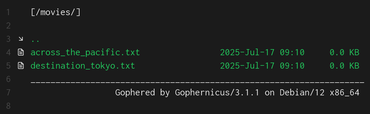 Running a Gopher Server on a VPS: Retro Internet with Modern Tools ...