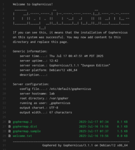 Running a Gopher Server on a VPS: Retro Internet with Modern Tools ...