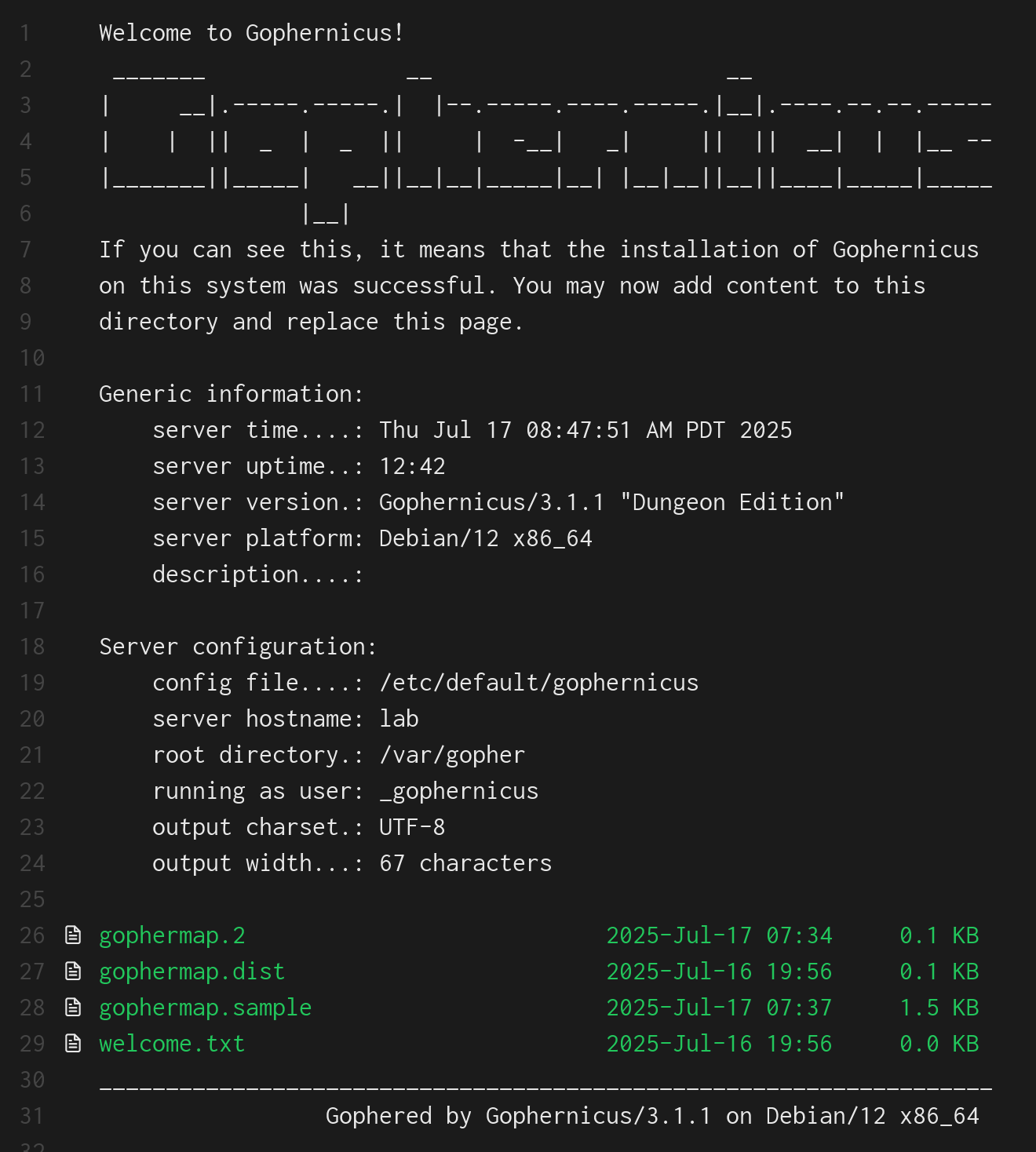 Gopher Networking Running a Gopher Server on a VPS: Retro Internet with Modern Tools ...
