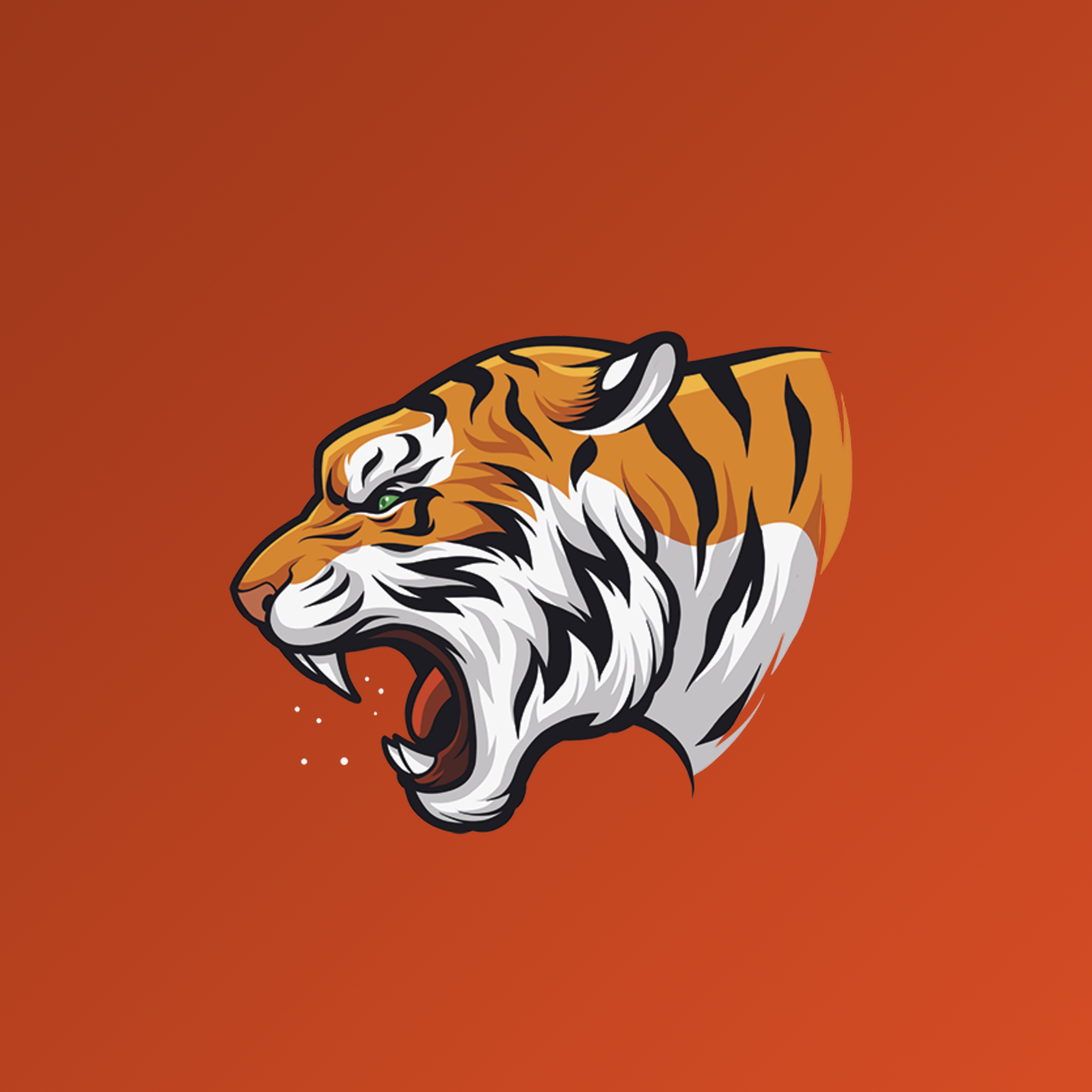 Hostiger: VPS Servers in Istanbul Starting at $2.49/Month!